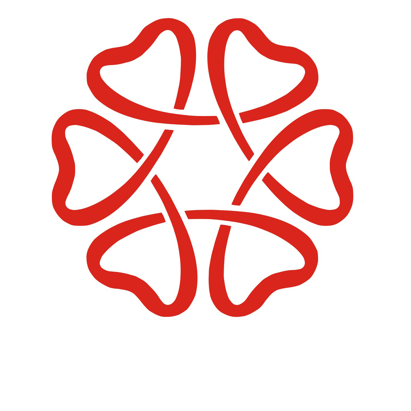 ailingo logo